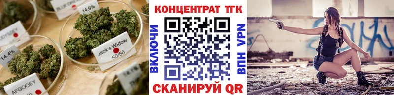 ТГК концентрат  Купить  Судак 